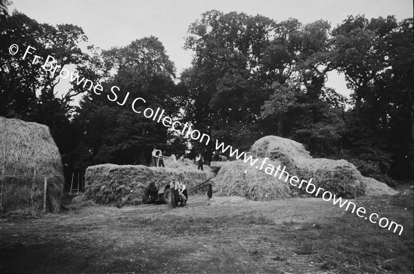 THRESHING AT ST MARYS